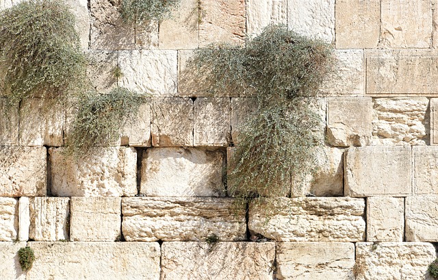 2022 Holy Land Tour Brochure - Wailing Wall