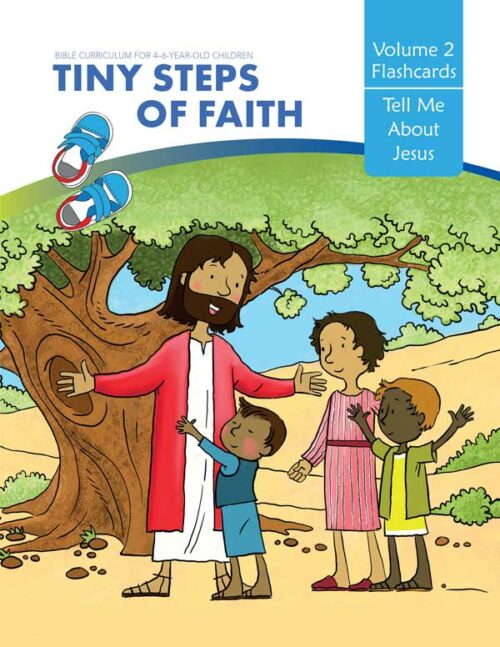 Tiny Steps of Faith- Flashcard Book Vol. 2